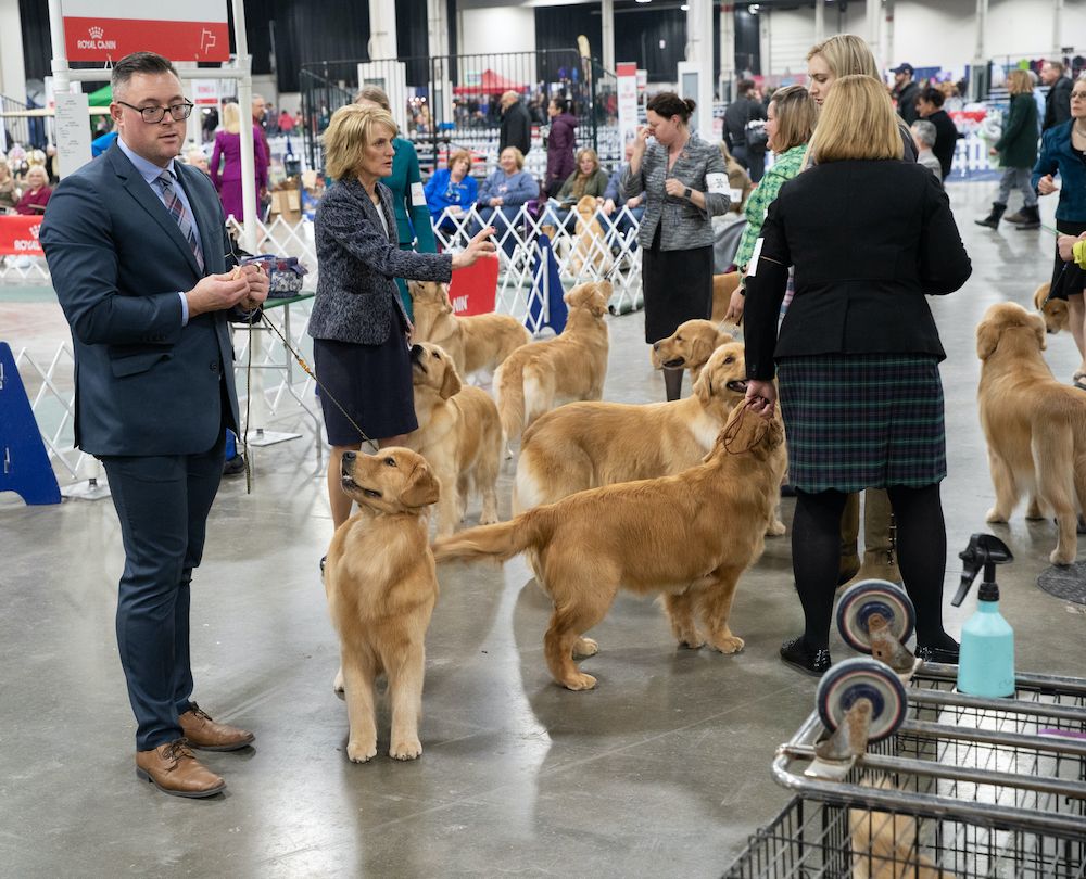 And Your Advice Would Be ... ?